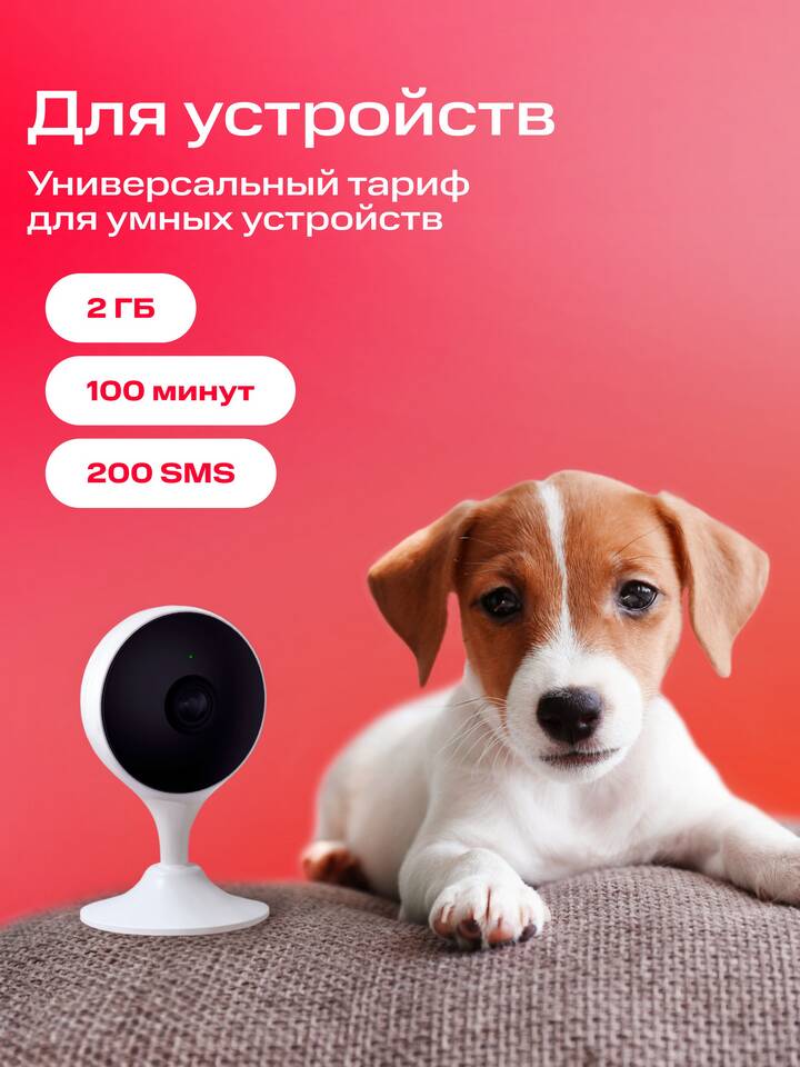 Новогодние тарифы: скрытые условия и подводные камни