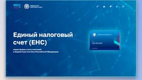 Актуализация сальдо ЕНС: что это такое в Пальметта