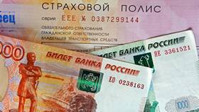 Что будет если остановят без страховки в Пальметта