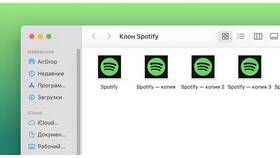 Что дает подписка Spotify в Пальметта