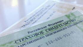 Что можно сделать по номеру СНИЛС мошенники в Пальметта
