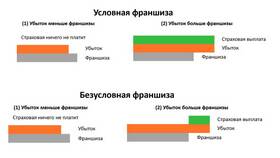 Что означает франшиза 20 процентов в Пальметта