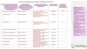 Что такое аффилированные юридические лица в Пальметта