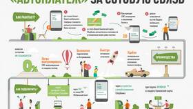 Что такое автоплатеж по абонентской плате в Пальметта