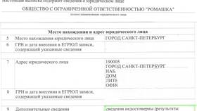 Что такое место государственной регистрации юридического лица в Пальметта