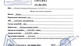 Что такое справка из школы в Пальметта