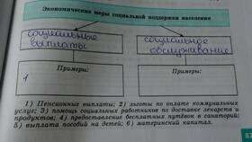 Что является примером социальных выплат в Пальметта