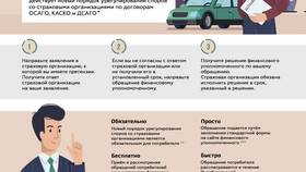 Что является страховым случаем в экологическом страховании в Пальметта
