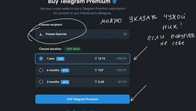 Для чего нужна премиум подписка в Telegram в Пальметта
