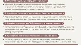 Документы на доход: что это в Пальметта