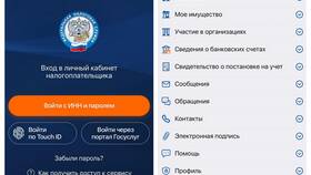 ФНС ID: что это в Пальметта