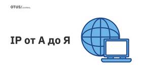 Из чего состоит IP-адрес в Пальметта