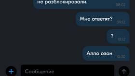 Как написать в поддержку Озон Банка в Пальметта
