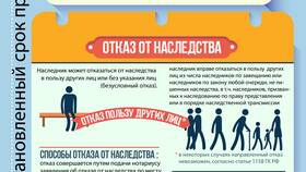 Как наследуется имущество после смерти в Пальметта