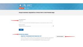 Как найти директора для ООО в Пальметта