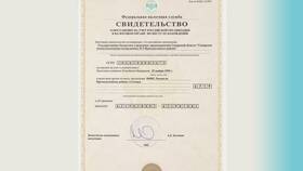 Как найти ОГРН по ИНН в Пальметта