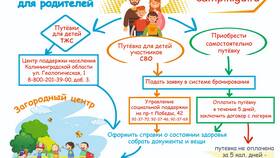Как оформить займ учредителя: пошаговая инструкция в Пальметта