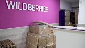 Как осуществляется доставка на Wildberries в Пальметта