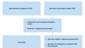 Как открыть ООО: налоговые аспекты в Пальметта