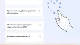 Как подать жалобу на МСЭ через портал Госуслуги в Пальметта
