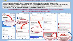 Как получить полную запись на Госуслугах в Пальметта