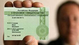 Как получить СНИЛС иностранному гражданину через Госуслуги в Пальметта