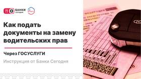 Как получить справку формы 40 через Госуслуги в Пальметта