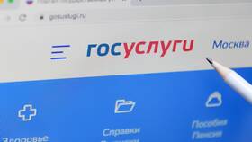 Как получить субсидии через портал Госуслуги в Пальметта
