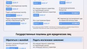 Как понять что подали в суд в Пальметта