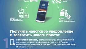Как позвонить в налоговую инспекцию в Пальметта