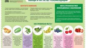 Как правильно соблюдать запреты в Пальметта