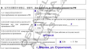 Как правильно заполнить анкету на визу в Пальметта