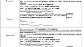 Как правильно заполнить платежку на госпошлину в Пальметта