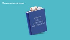 Как правильно заполнять учет доходов в Пальметта