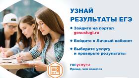Как проверить количество баллов на Госуслугах в Пальметта