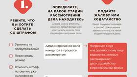 Как проверить, за что выписан административный штраф в Пальметта