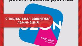 Как работать на ПВЗ Ozon в Пальметта