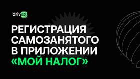 Как самозанятому водителю встать в реестр такси в Пальметта
