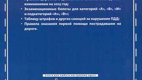 Как сдать экзамен ПДД в ГИБДД: полное руководство в Пальметта