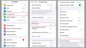 Как установить лимит на интернет-трафик в Пальметта