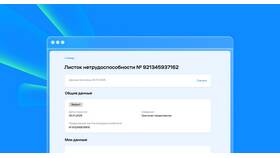Как узнать размер больничных выплат в Пальметта