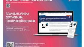 Как узнать, за что списывает ФНС в Пальметта