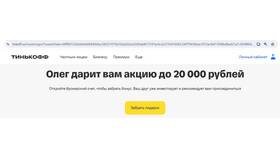 Как вывести акции Тинькофф в Пальметта