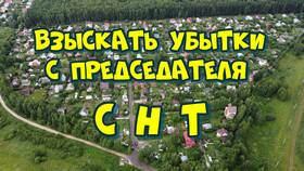 Как взыскать судебные расходы как убытки в Пальметта