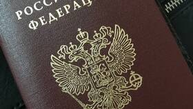 Как заменить паспорт РФ в Пальметта