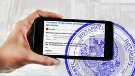 Как зарегистрироваться в налоговой юридическому лицу в Пальметта
