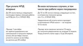 Налогообложение для самозанятых в Пальметта