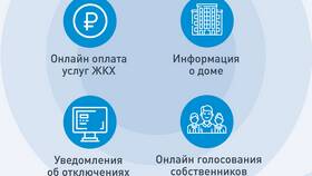 Оплата коммунальных услуг: графы и их значение в Пальметта