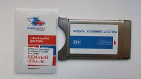 От чего зависит сила сигнала Триколор в Пальметта