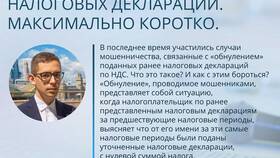 Почему долго проверяют налоговую декларацию в Пальметта